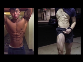 david laid vs steven cao aesthetic fitness motivation 2016