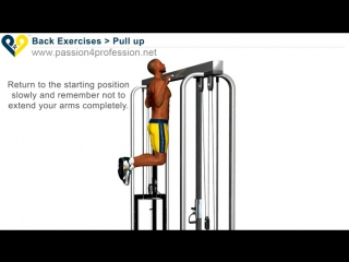 pull up exercise