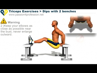 triceps exercises dips 2 benches