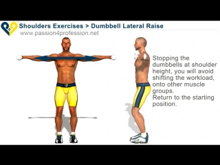 dumbbell lateral raise exercise