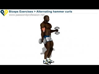 alternating hammer curls (standing with dumbbells)