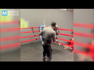 yahu rock blackwell boxing training highlights muscle madness