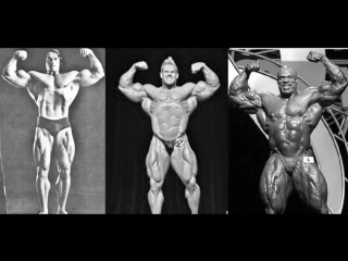 motivation for bodybuilding. great bodybuilders schwarzenegger, coleman and cutler