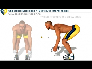 bent over lateral raises