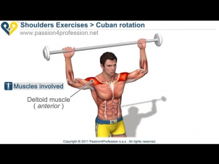 rotator cuff exercises - cuban rotation