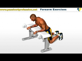 forearm exercises wrist curls