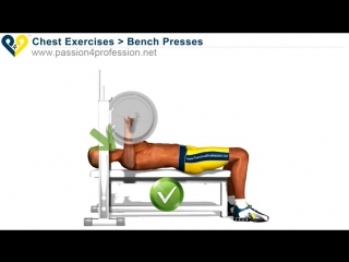 bench press - chest exercises