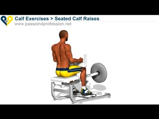 seated calf raises with machine (calf exercise)