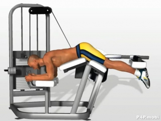 hamstring exercises leg curl machine exercise-