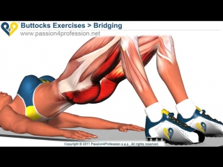 bridging exercise