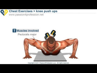 knee push ups