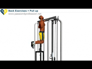 pull up exercise