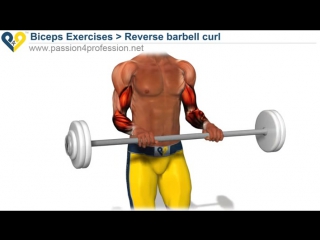 reverse barbell curls