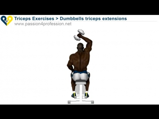 dumbbells triceps extensions