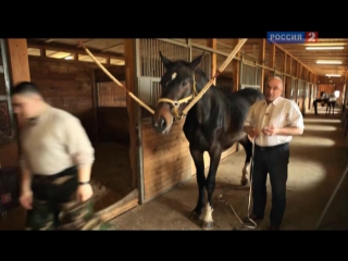 sports technology. horseback riding