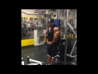 phil heath workout for olimpia 2015